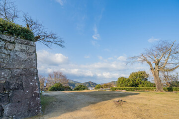 Fototapeta na wymiar 宇和島城