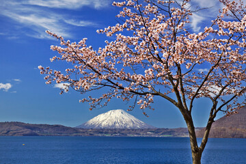 洞爺湖と羊蹄山（虻田町）