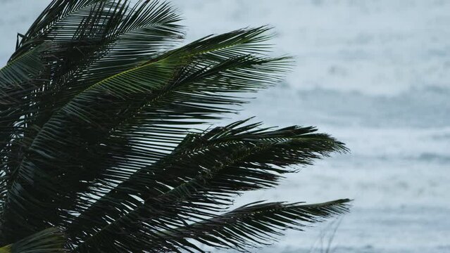 Hurricane Nicole making landfall on Florida Atlantic coast 