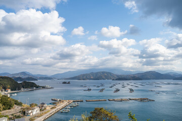 遊子水荷浦