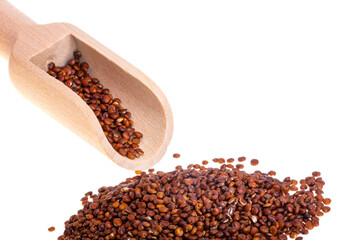 red quinoa isolated