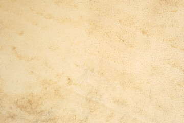 background of the drum face is made of animal skins.