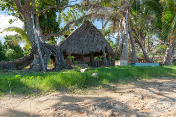South Pacific island palm thatched roof beach-side shelter