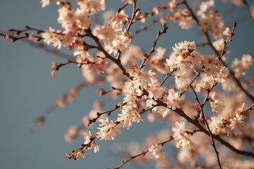 Printemps de Paris, 2023