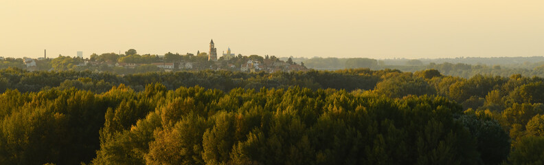 Gardos Tower also known as Millennium Tower and Zemun town over Great War island woodland landscape in autumn sunset