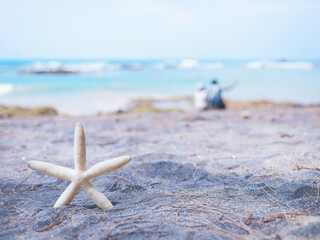 Close up star fish on summer beach.