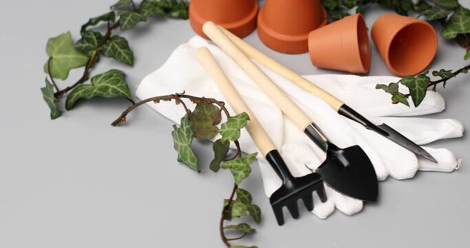 Rotation Small ceramic flower pots, gloves, gardening tools and green leaves on grey background, Spring garden works concept