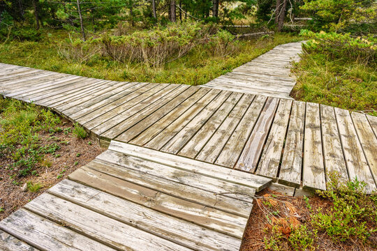 Boardwalk intersection, Big Bay State Park, Madeline Island, Wisconsin