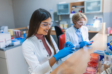 Scientist examining solution in petri dish at a laboratory. Lab Scientist Examining and using Petri Dish. Lab Experiment.Researcher examining cultures in petri dishes