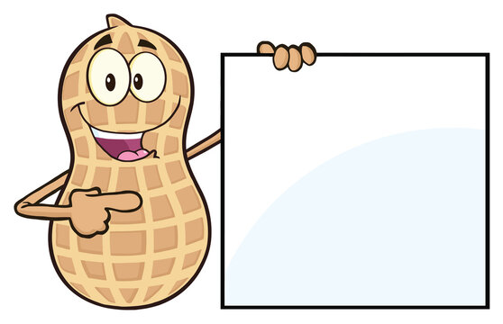 Funny Peanut Cartoon Mascot Character Showing A Blank Sign. Hand Drawn Illustration Isolated On Transparent Background