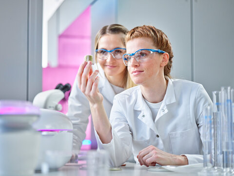 Scientists examining seeds samples in laboratory