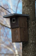 Zoo Tallinn Estonia Europe animals in winter time beautiful decoration countryside style travel tourist nature bird crow elephant goose camel lizard monkey parrot seal sheep alpaka sloth