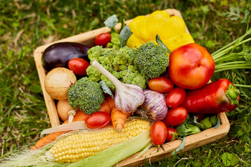 Wooden box with different fresh farm vegetables outdoor on the grass, Autumn harvest and healthy...