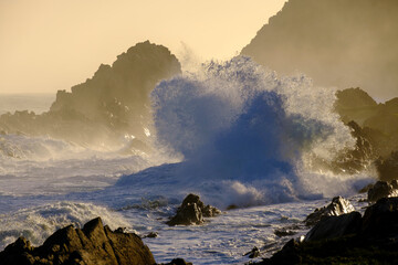 South Africa, Eastern Cape, Storms River splashing against rugged coast