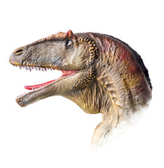 The head of Carcharodontosaurus , dinosaur on  isolated background  .