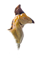 The head of  Olorotitan , dinosaur on  isolated background  .