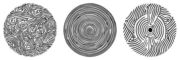 Abstract tree rings. Png concept for background. Thin black lines on white.