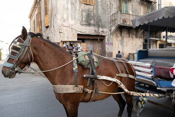 Horse carriage in Saint Louis, Senegal - obrazy, fototapety, plakaty