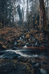Saut du Bouchot Vosges
