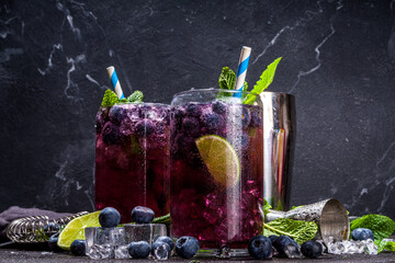 Fototapeta na wymiar Blueberry iced lemonade