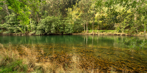 Fragas do Eume Natural Park, Pontedeume, La Coruña, Galicia, Spain, Europe