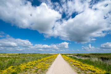 Nature resesrve Marker Wadden-  Markerwadden, Flevoland province, The Netherlands