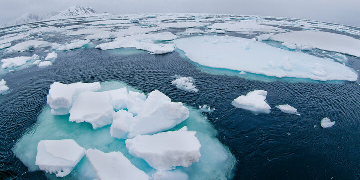 Drift floating Ice and Snowcapped Mountains, Iceberg, Ice Floes, Albert I Land, Arctic, Spitsbergen, Svalbard, Norway, Europe