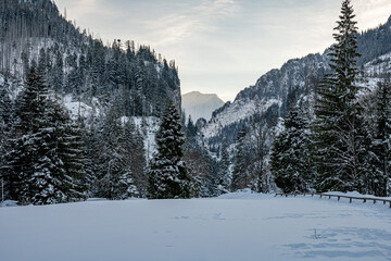 View of the Tatra Mountains in winter from Koscieliska Valley. Sunny weather during a hike in the mountains.