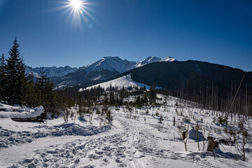 View of the Tatra Mountains in winter from Rusinowa Polana. Sunny weather during a hike in the mountains.