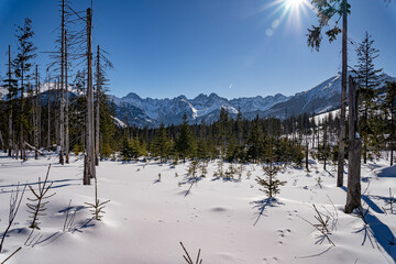 View of the Tatra Mountains in winter from Rusinowa Polana. Sunny weather during a hike in the mountains. © Tomasz