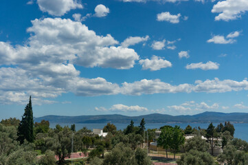 The view from the hotel is of olive trees, the sea, the mountains and the blue sky with clouds. Euboea, Greece.
