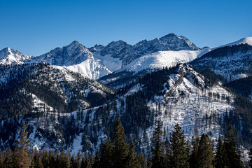 View of the Tatra Mountains in winter from Rusinowa Polana. Sunny weather during a hike in the mountains. © Tomasz
