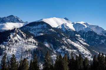 View of the Tatra Mountains in winter from Rusinowa Polana. Sunny weather during a hike in the mountains. © Tomasz