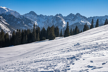 View of the Tatra Mountains in winter from Rusinowa Polana. Sunny weather during a hike in the mountains. © Tomasz