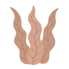 seaweed ocean coral reef plants icon.