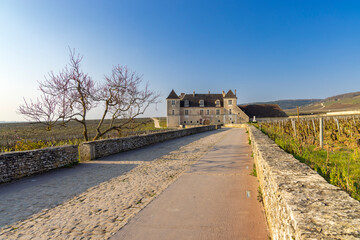 Fototapeta na wymiar Clos de Vougeot castle, Cote de Nuits, Burgundy, France