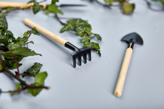 Gardening tools and green leaves on grey background, Spring garden works concept, flat lay, top view, copy space.