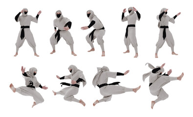 3d Ninja warrior isolated © onay