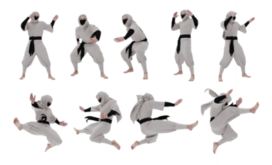 3d Ninja warrior isolated