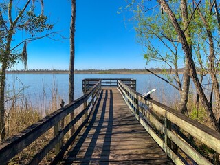 Blakeley state park waterfront on the Tensaw River 