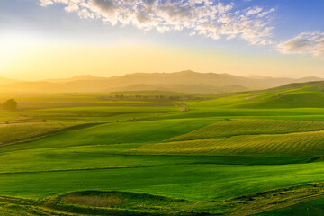 beautiful green valley with green fields with green spring grass with nive hills and mountains and scrnic colorful cloudy sunset on background of landscape