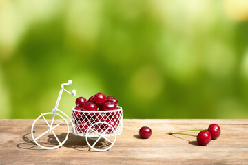 Red ripe cherries in a white decorative bicycle basket on a green background