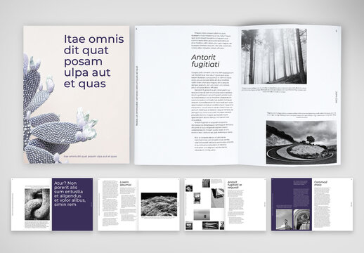 Timeless Editorial Book