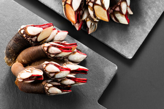 Barnacles, goose neck barnacle, percebes, gallician barnacles on a slate, over black background. Pollicipes pollicipes. Expensive delicatessen, gourmet sea food. Top view