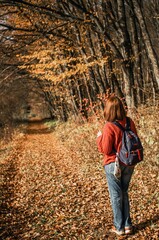 A girl in the bosom of nature in an autumn deciduous forest looks at the road