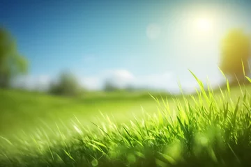 Plexiglas foto achterwand Meadow landscape refreshment with sunray. Under the bright sun. Spring, summer background. Abstract floral background. generative ai  © BlazingDesigns