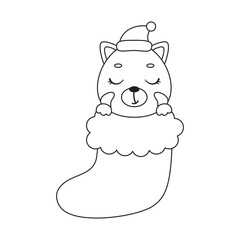 Coloring page cute little red panda in Christmas sock. Coloring book for kids. Educational activity for preschool years kids and toddlers with cute animal. Vector stock illustration