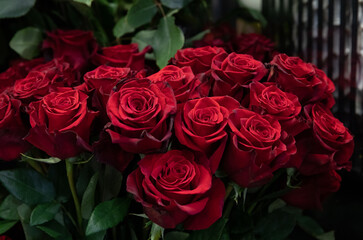 Variety of fresh cut red roses in the flower garden shop.