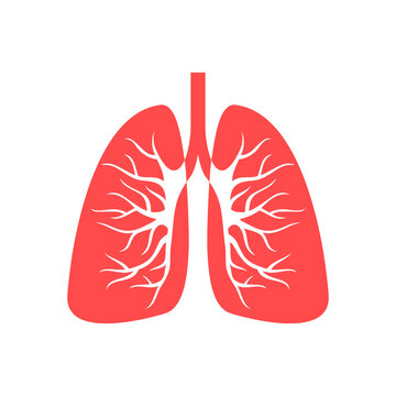 Human Lungs icon isolated on transparent background