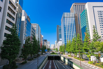 Fototapeta na wymiar 東京都中央区 日本橋のオフィス街、昭和通り
